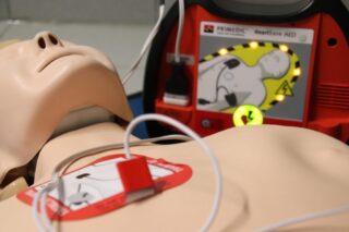 first aid, puppet, exercise, aed, defibrillator, rescue, medic, medicine, savior, help, emergency, accident, paramedic, rescue doll, first-aid training, training, patch up, doctor, health, medical, rettungsdiesnt, fire fighters, course, first aid, first aid, first aid, first aid, first aid, aed, aed, aed, defibrillator